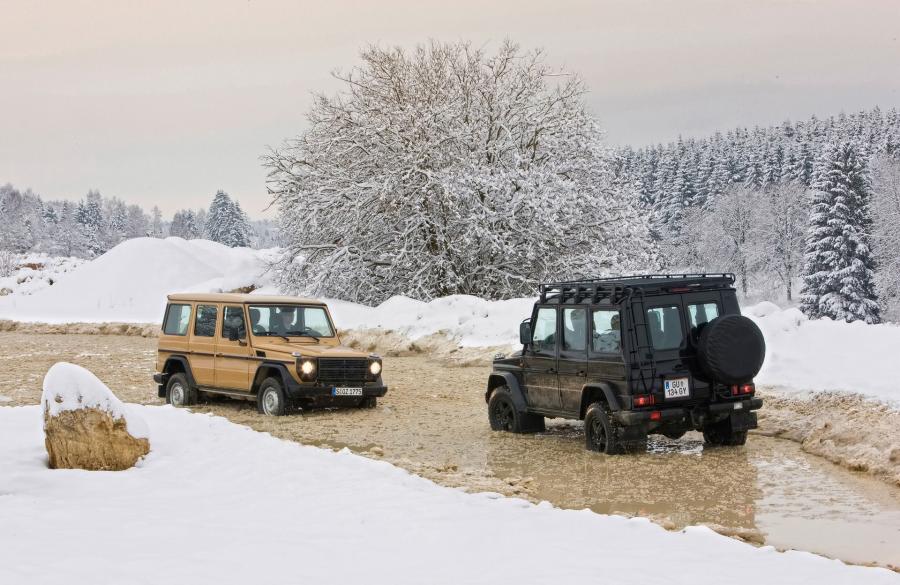  Mercedes-Benz G-Class Edition 30 2009 года  (фото 5 из 11)